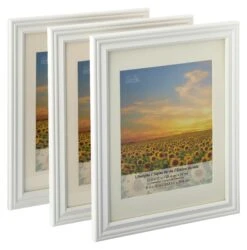 3 White Frames With Mat, 8" X 10", Lifestyles By Studio Décor®