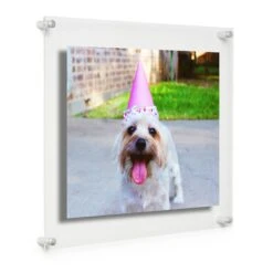 Cool Modern Clear Acrylic Float Frame With Silver Hardware -Optima Home Decor Store D306803S 2