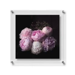 Wexel Art Modern Clear Acrylic Floating Frame With Silver Hardware -Optima Home Decor Store D306833S 1