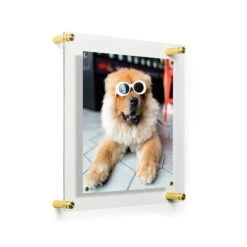 Wexel Art Easy Change Acrylic Floater Frame & Magnets With Gold Hardware 34 Wexel Art Easy Change Acrylic Floater Frame & Magnets With Gold Hardware -Optima Home Decor Store D306874S 2