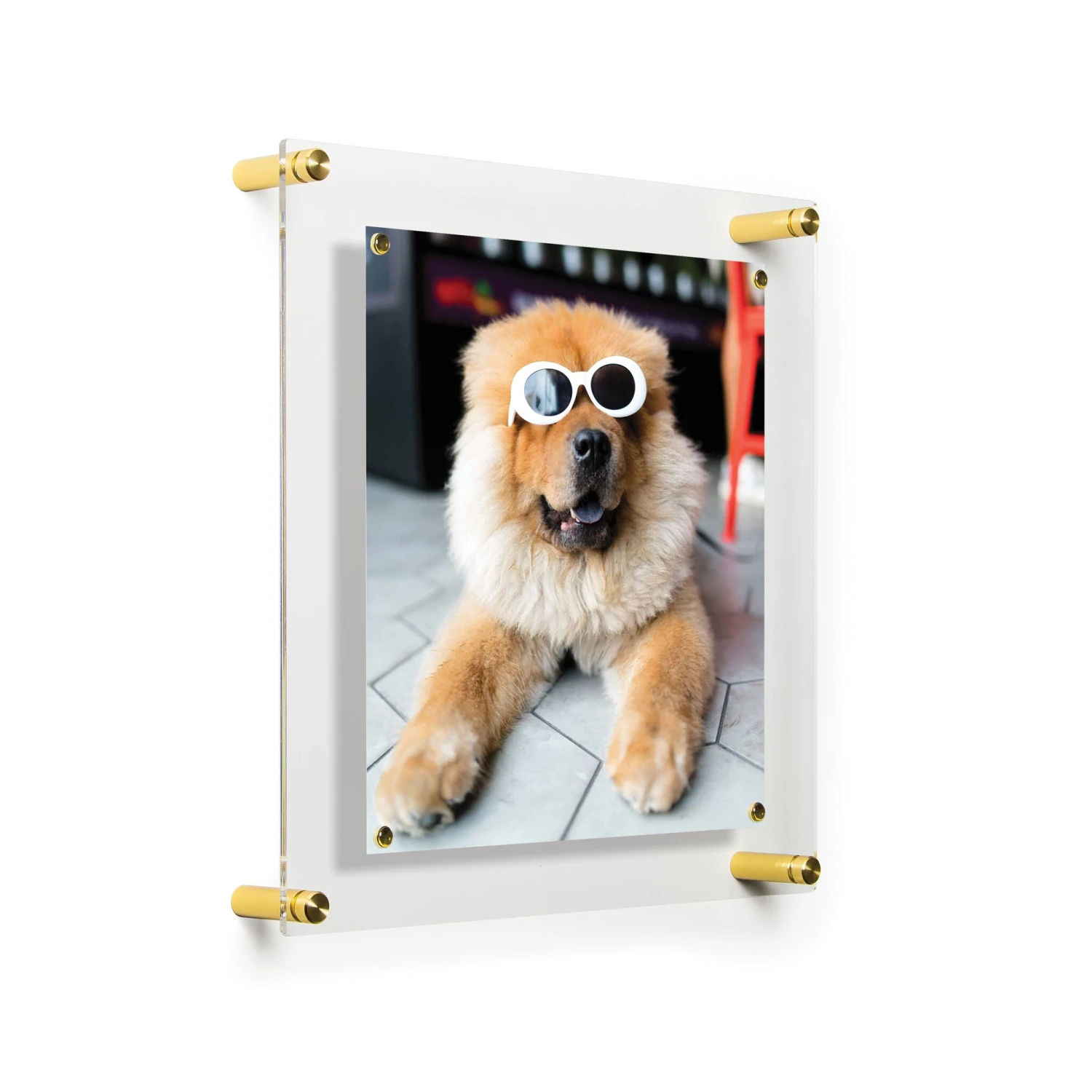 Wexel Art Easy Change Acrylic Floater Frame & Magnets With Gold Hardware 15 Wexel Art Easy Change Acrylic Floater Frame & Magnets With Gold Hardware - Image 13