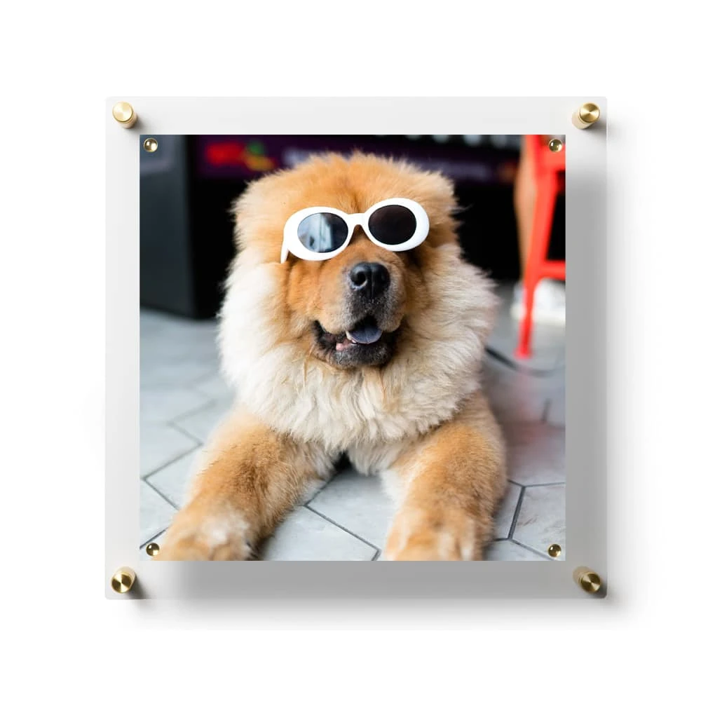 Wexel Art Easy Change Acrylic Floater Frame & Magnets With Gold Hardware 8 Wexel Art Easy Change Acrylic Floater Frame & Magnets With Gold Hardware - Image 6