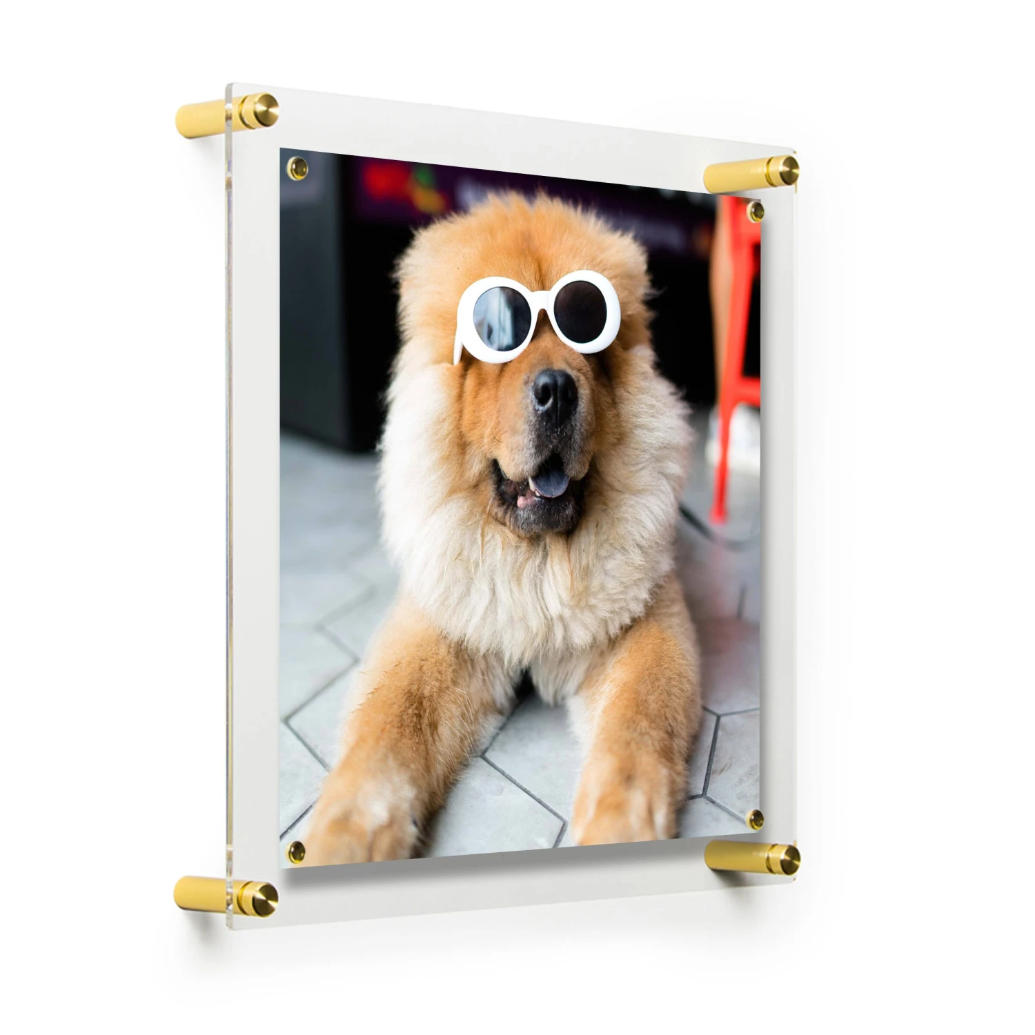 Wexel Art Easy Change Acrylic Floater Frame & Magnets With Gold Hardware 9 Wexel Art Easy Change Acrylic Floater Frame & Magnets With Gold Hardware - Image 7