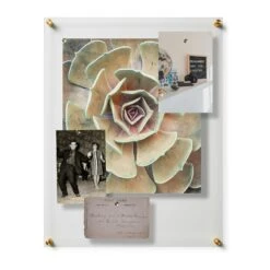 Wexel Art Easy Change Acrylic Floater Frame & Magnets With Gold Hardware 38 Wexel Art Easy Change Acrylic Floater Frame & Magnets With Gold Hardware -Optima Home Decor Store D306896S 3