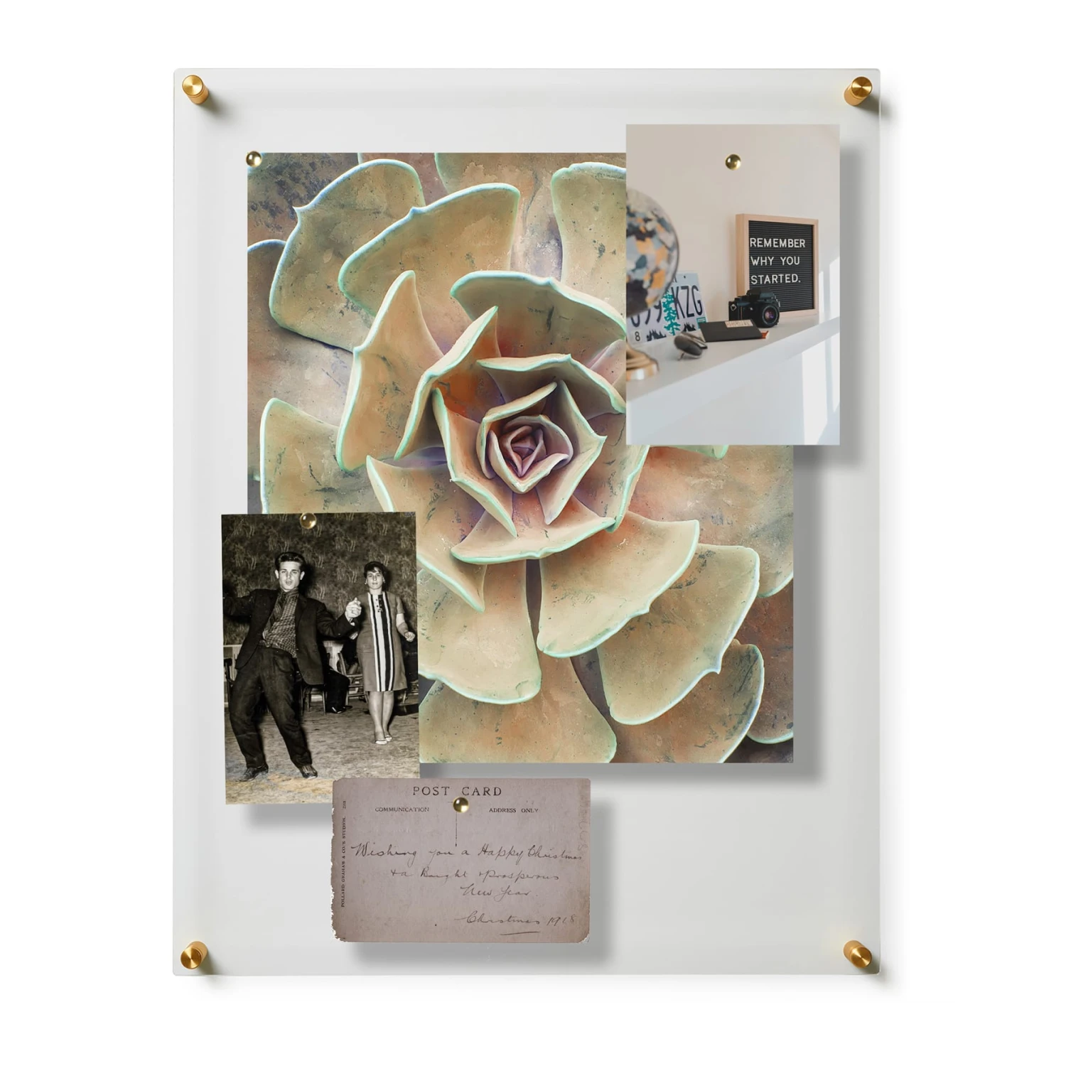 Wexel Art Easy Change Acrylic Floater Frame & Magnets With Gold Hardware 19 Wexel Art Easy Change Acrylic Floater Frame & Magnets With Gold Hardware - Image 17