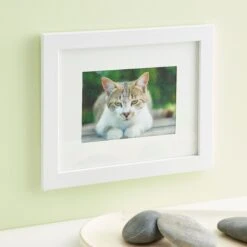 8 Pack: White Frame With Mat, Belmont By Studio Décor® -Optima Home Decor Store MP392854 20