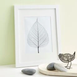 New Arrival -Optima Home Decor Store MP392858 20